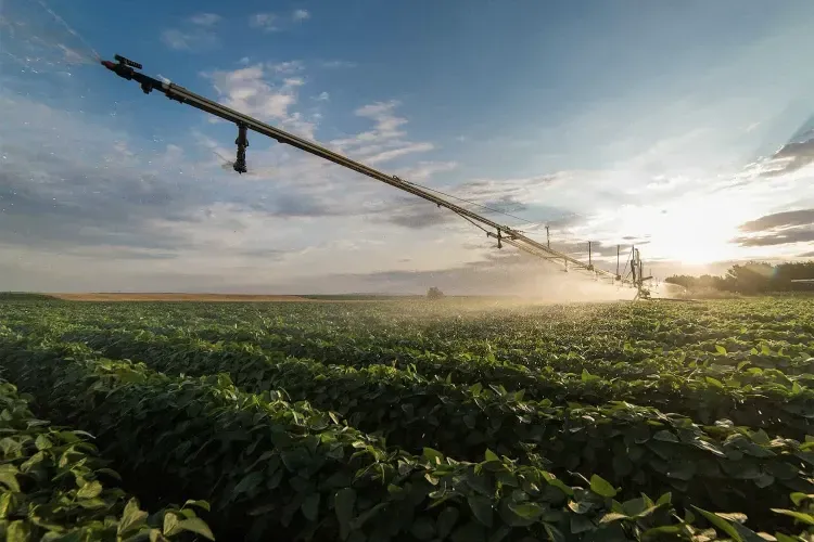 Boosting Agricultural Yields: How Nanobubble Irrigation Delivers Fertilizer Savings & More Harvest