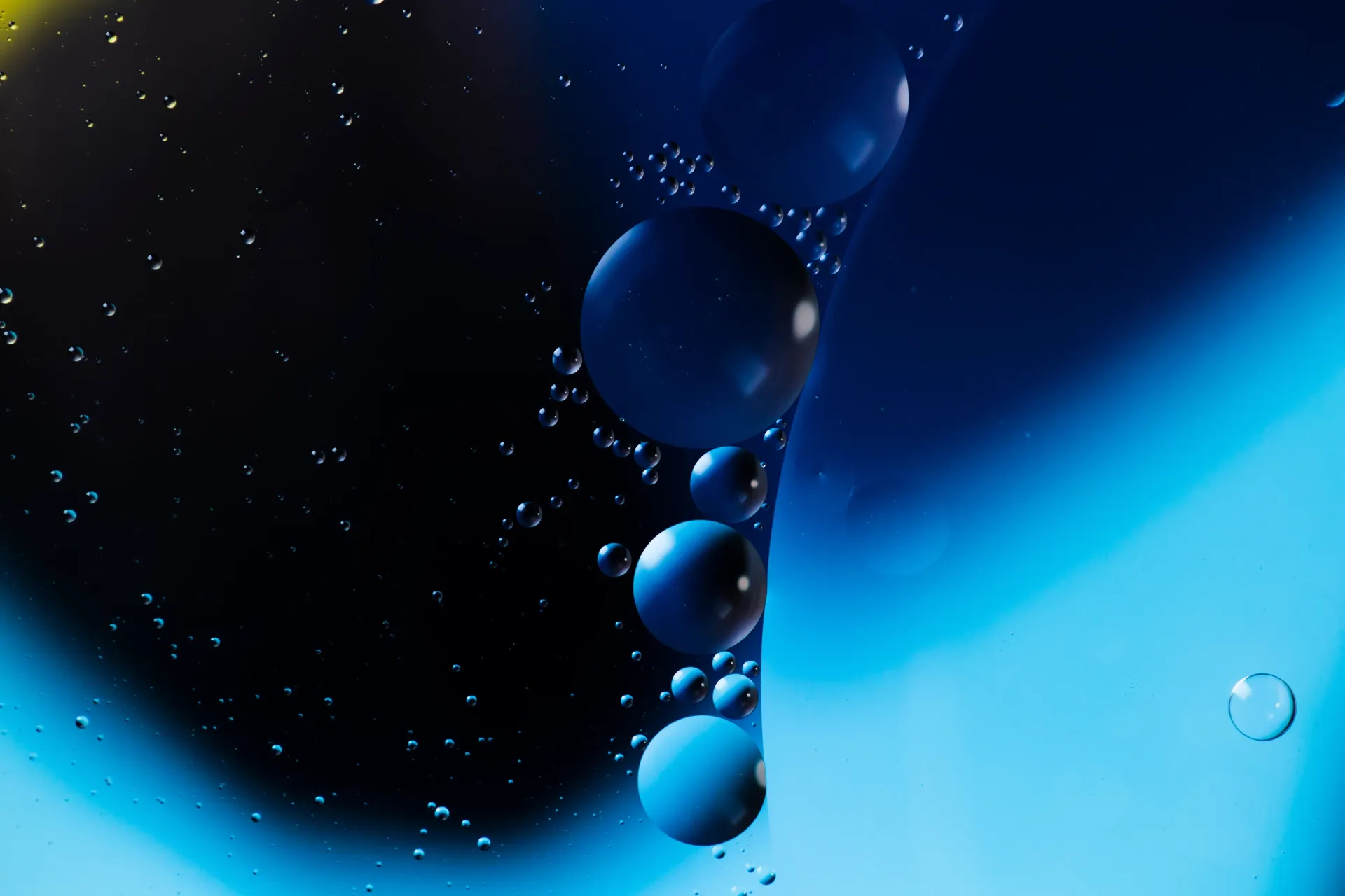 Precision Nanobubble Irrigation: 23% Water Savings in Lettuce Cultivation